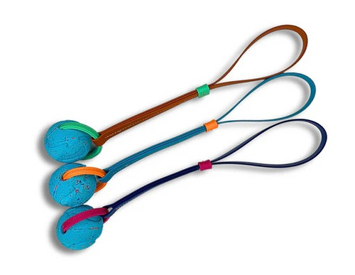 Biothane Hands-Free Dog Leash – Waterproof, Strong & Easy to Clean.jpg