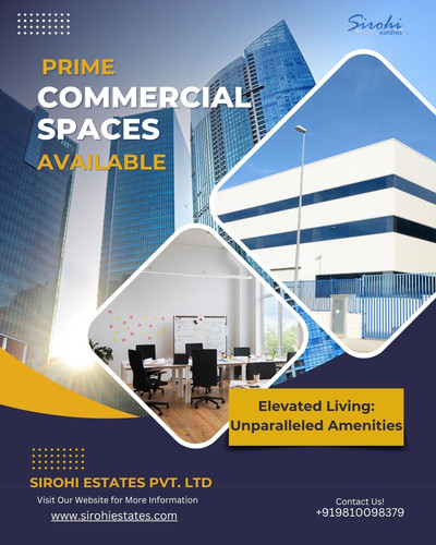 Sirohi Estate Real Estate Consultancy Based in Noida.jpg