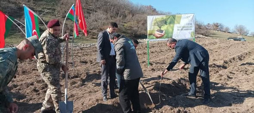 581044241 1172075645108693 1008389148435719242 n.jpg?stp=dst jpg s590x590 tt6& nc cat=103&ccb=1 7& n.jpg