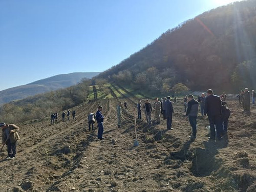 580131829 1172076141775310 1099149006877353185 n.jpg?stp=dst jpg s590x590 tt6& nc cat=107&ccb=1 7& n.jpg