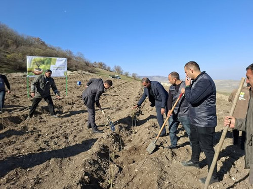 579353042 1172075961775328 831748184245950585 n.jpg?stp=dst jpg s590x590 tt6& nc cat=103&ccb=1 7& nc.jpg