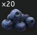 blueberries.jpg