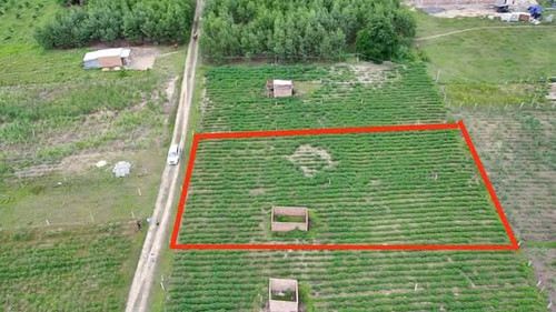 581631290 858509279967768 7140049726216848366 n.jpg