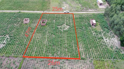 580477572 858509229967773 4832110337450555992 n.jpg