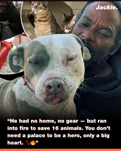 Helvetica World 2025 09 06T135425.661.png