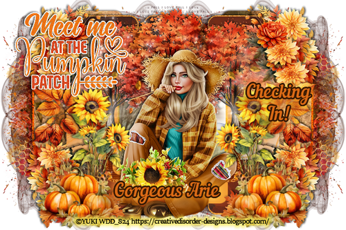 sAriePumpkinPatchChkInKK36Yuki vi