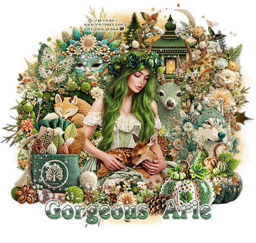 GorgeousArie SSSept25 vi.png