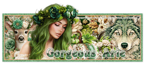 GorgeousArieST SSSept25 vi.gif