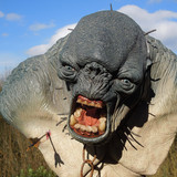 12cavetroll5susd