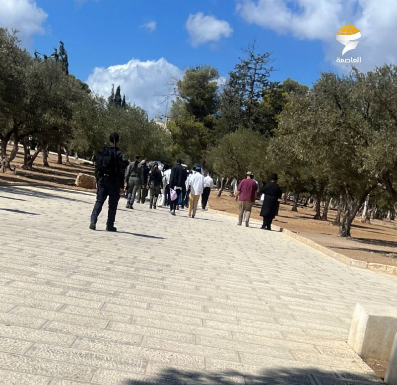 منظمة بيدينو المرتبطة بجماعات الهيكل المتطرفة تدعو إلى اقتحام المسجد الأقصى المبارك يوم الأحد، تكريما للجندي ايتان اسحاق اوستر الذي قتل في لبنان قبل ع...