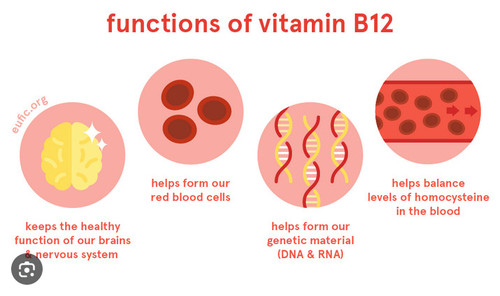 vitaminb122502.jpg