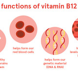 vitaminb122502