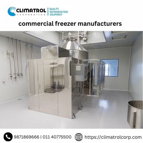 Leading Commercial Freezer Manufacturers in India | Durable & Efficient.jpg