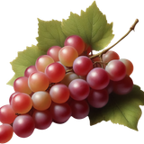 ПАР45см (601)