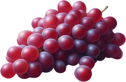 ПАР45см (603).png