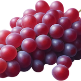 ПАР45см (603)