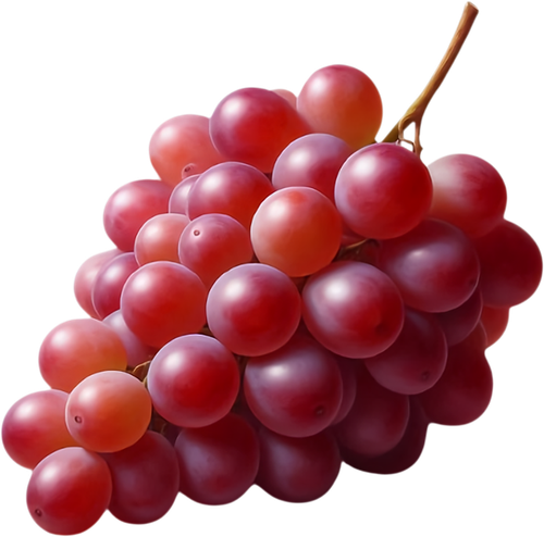 ПАР45см (599).png