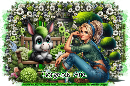 sArieDonkeyDelightKK36KellysAI vi.png