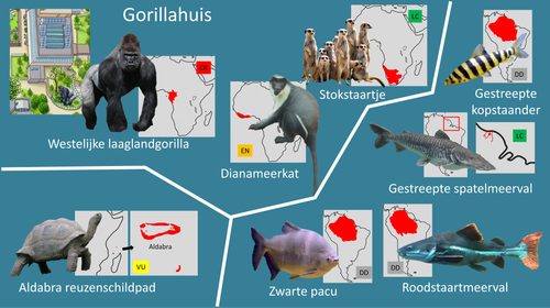 Gorillahuis.png