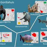 Gorillahuis