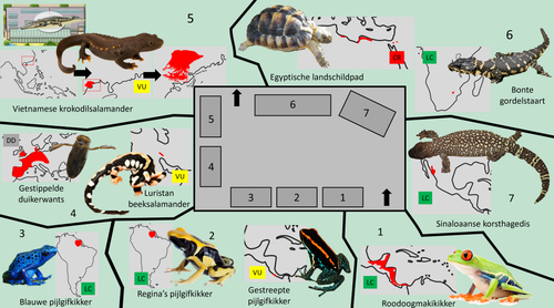 Reptielenhuis kleine kamer.png