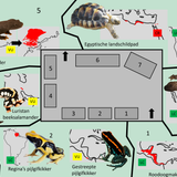 Reptielenhuis kleine kamer