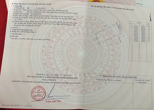 544550744 2387265898334823 4178083101118585605 n.jpg