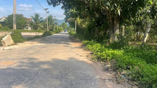 544988736 2387265891668157 680114196884486752 n.jpg