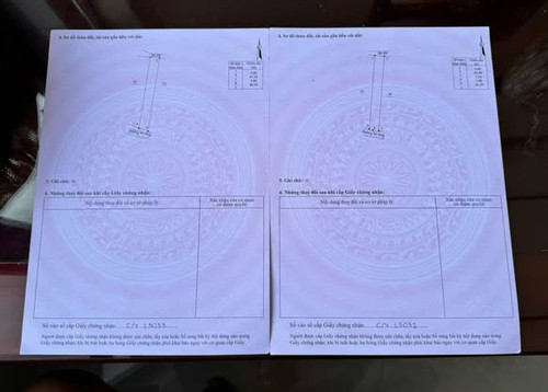 543434107 4320906328133317 4477357901843373730 n.jpg