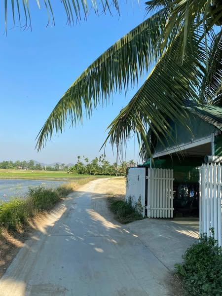 544709313 4320906528133297 7394572410672739895 n.jpg