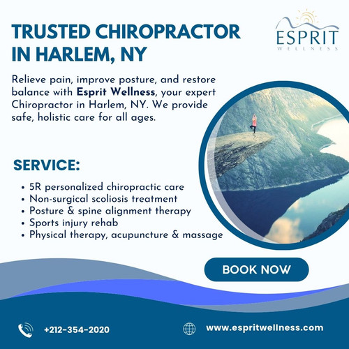 Expert Chiropractor in Harlem, NY – Esprit Wellness.jpg
