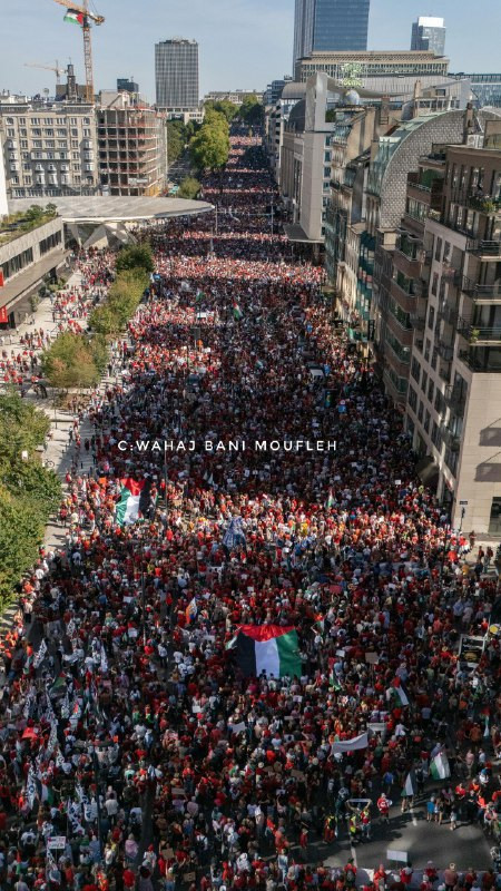 بروكسل الآن.. "طوفان بشري"؛ إسنادًا لغزة وتنديدًا بحرب التجويع والإبادة التي يشنها الاحتلال....