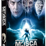 81lNuujEnUL. UF894,1000 QL80 preview rev 1.png