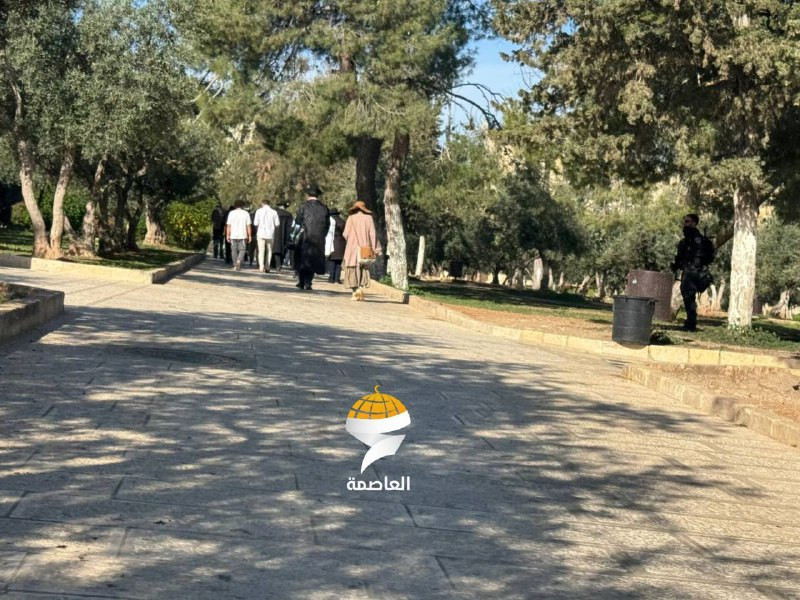 مستوطنون يقتحمون باحات المسجد الأقصى المبارك تحت حماية شرطة الاحتلال...