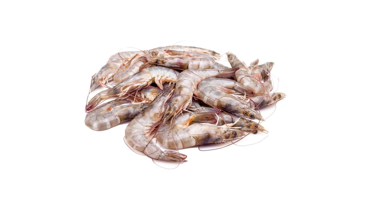 Fresh gulf shrimp on ice