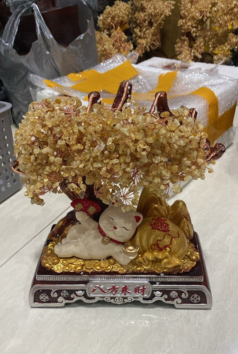 WhatsApp Image 2025 09 04 at 19.04.35.jpg