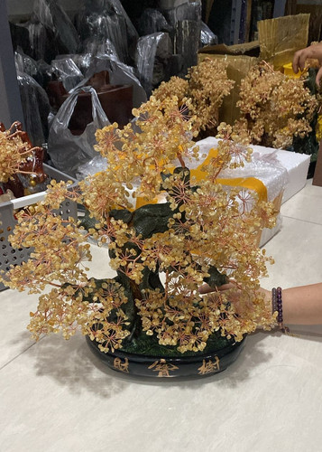 WhatsApp Image 2025 09 04 at 19.05.34.jpg