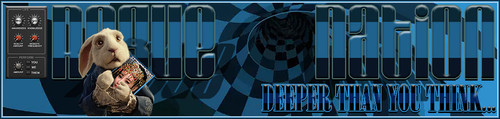 ChcHole Banner.jpg