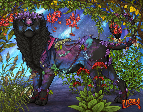 lioden wardrobe (10).png