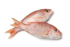 Whole red snapper on crushed ice