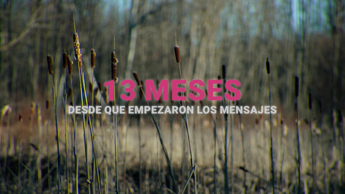 vlcsnap 2025 09 07 13h04m49s602.jpg