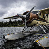 Cool Picture