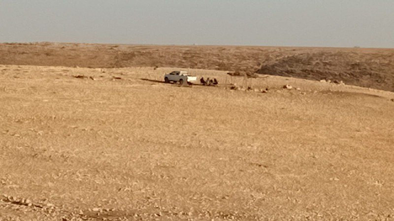 مستوطنون يسيطرون على مظلة عريشة للمزارعين بالقرب من مساكن الفلسطينيين في خربة الحلاوة بمسافر يطا، جنوب الخليل....