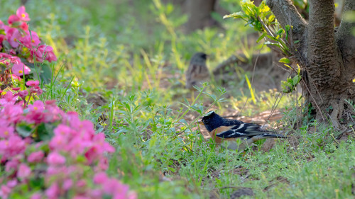 171275424 4639015692792481 6185537031310180086 n.jpg