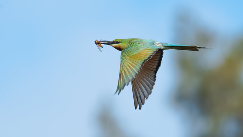 472864053 9982290718464925 2563361965864567128 n.jpg