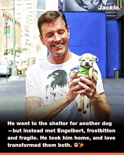 Helvetica World 2025 09 08T123604.345.png