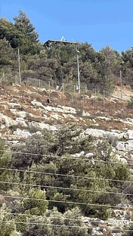 جنود الاحتلال يطلقون النار على شاب اقترب من سياج مستوطنة بسجوت التي أقيمت على أراضي مدينة البيرة...