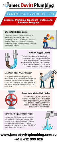 Plumber Prospect.jpg