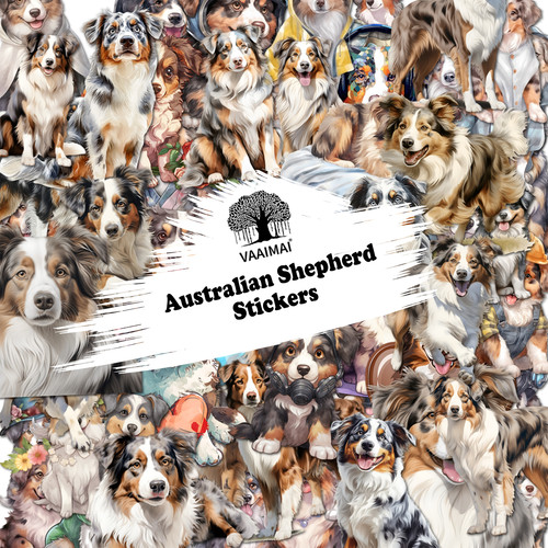 AMZ VAAIMAI 101B.jpg