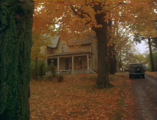cap Specimen.1996.DVDRip.x264 HANDJOB 00 11 20 01.png